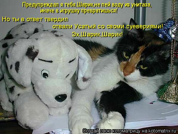 Предупреждал я тебя,Шарик,не пей воду из унитаза, иначе в игрушку превратишься! Но ты в ответ твердил... Котоматрица: Предупреждал я тебя,Шарик,не пей воду из унитаза, иначе в игрушку превратишься! Но ты в ответ твердил отвали Усатый со своми суевериями! Эх,