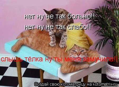 нет ну не так больно!! нет ну не так слабо!! слышь тёлка ну ты меня замучила!!... Котоматрица: нет ну не так больно!! нет ну не так слабо!! слышь тёлка ну ты меня замучила!!