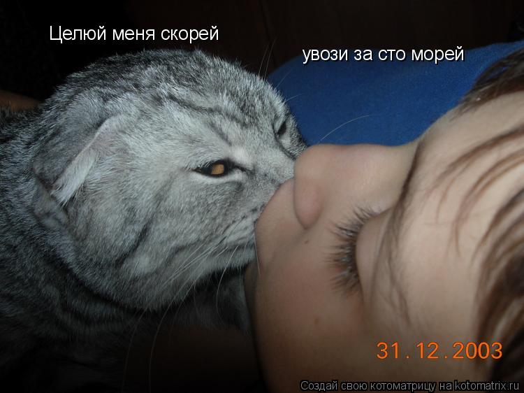 Целюй меня скорей увози за сто морей... Котоматрица: Целюй меня скорей увози за сто морей