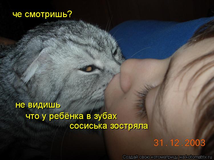 че смотришь? не видишь что у ребёнка в зубах сосиська зостряла... Котоматрица: че смотришь? не видишь что у ребёнка в зубах сосиська зостряла