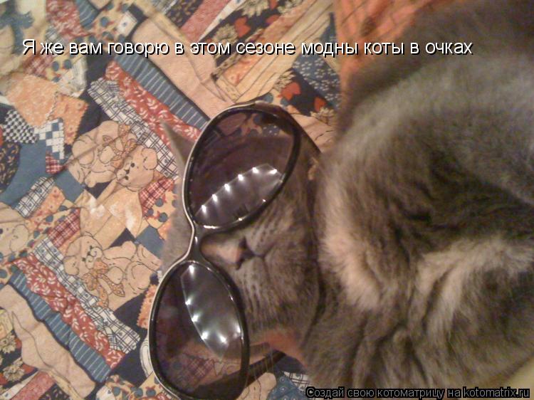Я же вам говорю в этом сезоне модны коты в очках... Котоматрица: Я же вам говорю в этом сезоне модны коты в очках
