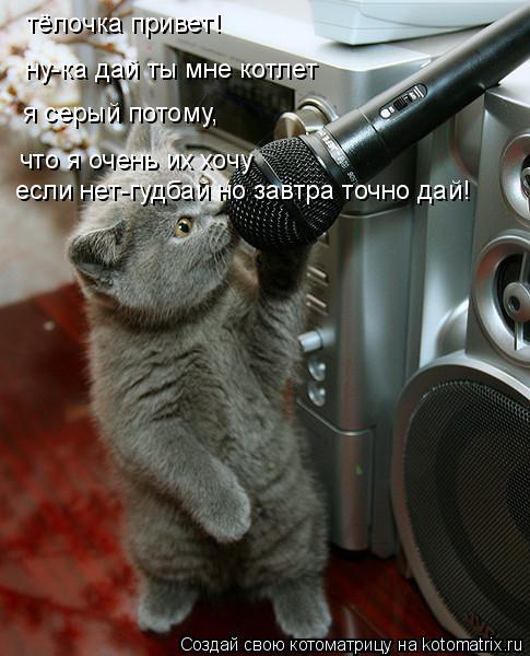 тёлочка привет! ну-ка дай ты мне котлет я серый потому, что я очень их хочу если нет-гудбай но завтра... Котоматрица: тёлочка привет! ну-ка дай ты мне котлет я серый потому, что я очень их хочу если нет-гудбай но завтра точно дай!