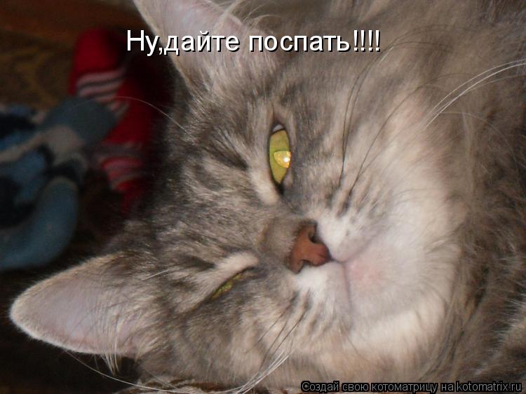 Ну,дайте поспать!!!!... Котоматрица: Ну,дайте поспать!!!!