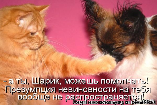 - а ты, Шарик, можешь помолчать! Презумпция невиновности на тебя вообще не распространяется!... Котоматрица: - а ты, Шарик, можешь помолчать! Презумпция невиновности на тебя вообще не распространяется!