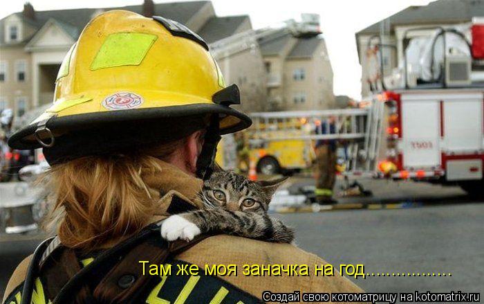 Там же моя заначка на год.................... Котоматрица: Там же моя заначка на год.................