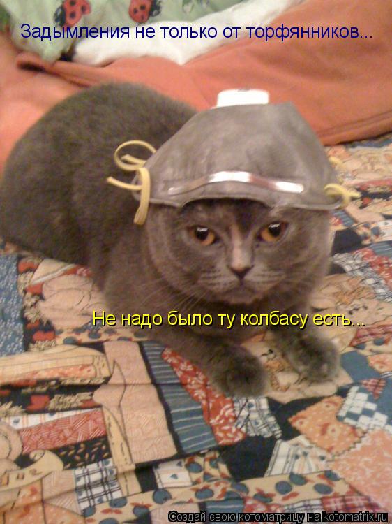 Задымления не только от торфянников... Не надо было ту колбасу есть...... Котоматрица: Задымления не только от торфянников... Не надо было ту колбасу есть...