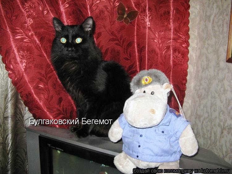 Булгаковский Бегемот... Котоматрица: Булгаковский Бегемот