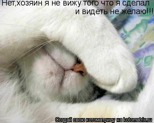 Нет,хозяин я не вижу того что я сделал и видеть не желаю!!!... Котоматрица: Нет,хозяин я не вижу того что я сделал и видеть не желаю!!!