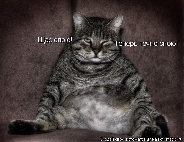Щас спою! Теперь точно спою!... Котоматрица: Щас спою! Теперь точно спою!