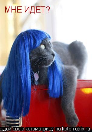 МНЕ ИДЕТ?... Котоматрица: МНЕ ИДЕТ?