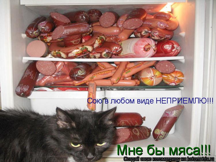Сою в любом виде НЕПРИЕМЛЮ!!! Мне бы мяса!!!... Котоматрица: Сою в любом виде НЕПРИЕМЛЮ!!! Мне бы мяса!!!