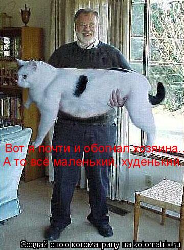 Вот я почти и обогнал хозяина... А то всё маленький, худенький...... Котоматрица: Вот я почти и обогнал хозяина... А то всё маленький, худенький...