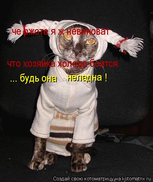 че ржоте я ж невиноват что хозяйка холода боится ... будь она неладна !... Котоматрица: че ржоте я ж невиноват что хозяйка холода боится ... будь она неладна !