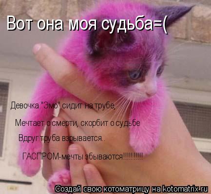 Девочка "Эмо" сидит на трубе, Мечтает о смерти, скорбит о судьбе Вдруг труба взрывается.. ГАСП... Котоматрица: Девочка "Эмо" сидит на трубе, Мечтает о смерти, скорбит о судьбе Вдруг труба взрывается.. ГАСПРОМ-мечты збываются!!!!!!!!!! Вот она моя суд