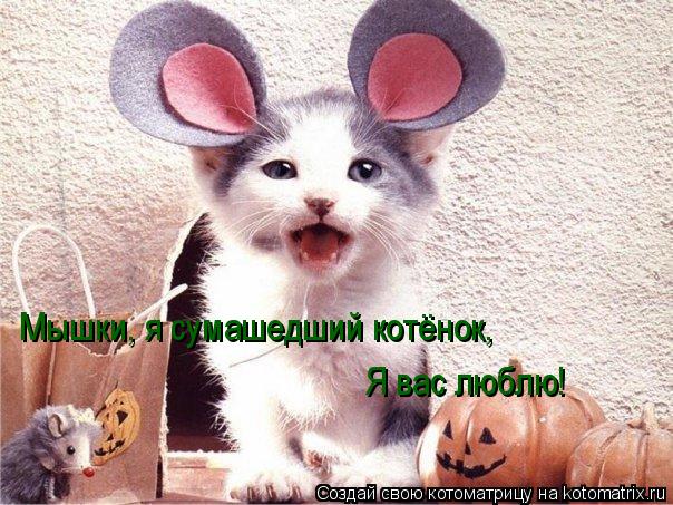 Мышки, я сумашедший котёнок, Я вас люблю!... Котоматрица: Мышки, я сумашедший котёнок, Я вас люблю!