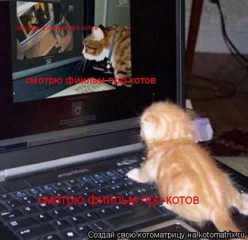 Котоматрица: смотрю фиильм про котов смотрю фиильм про котов смотрю фиильм про котов