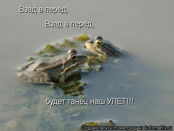 Котоматрица: Взад в перёд, Взад в перёд, будет танец наш УЛЕТ!!!