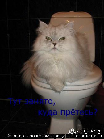 Котоматрица: Тут занято,  куда прётесь?