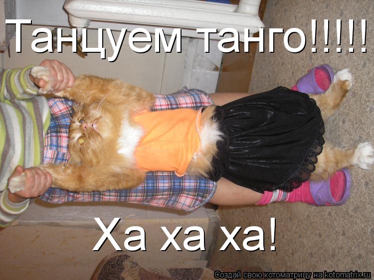 Котоматрица: Танцуем танго!!!!!!!!! Ха ха ха!
