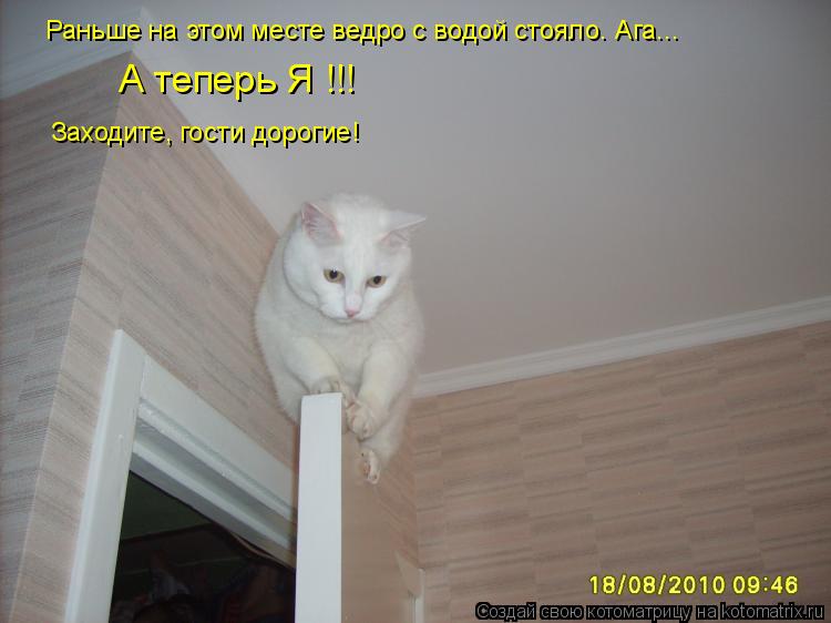 Котоматрица: Раньше на этом месте ведро с водой стояло. Ага... А теперь Я !!! Заходите, гости дорогие!