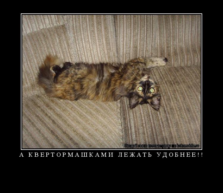 Котоматрица: А квертормашками лежать удобнее!! 