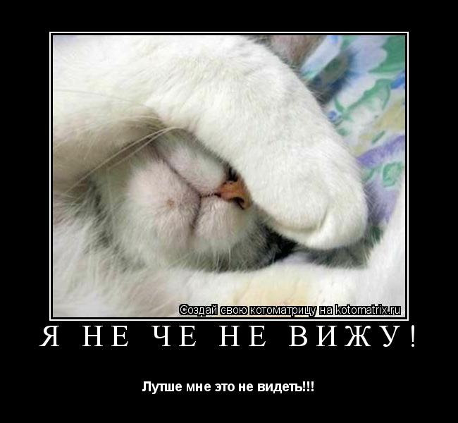 Котоматрица: Я не чё не вижу! Лутше мне это не видеть!!!