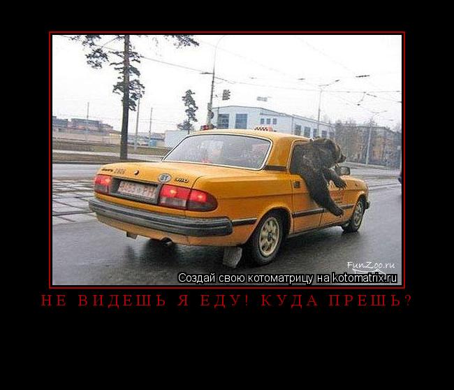 Котоматрица: Не видешь Я еду! Куда прёшь? 