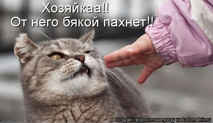 Котоматрица: Хозяйкаа!! От него бякой пахнет!!