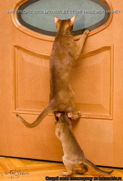 -ИНТЕРЕСНО, СКОЛЬКО КОТЛЕТ СТОИТ НАШЕ МОЛЧАНИЕ?... Котоматрица: -ИНТЕРЕСНО, СКОЛЬКО КОТЛЕТ СТОИТ НАШЕ МОЛЧАНИЕ?