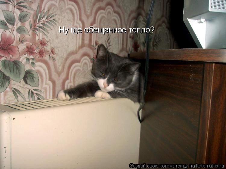 Ну где обещанное тепло?... Котоматрица: Ну где обещанное тепло?