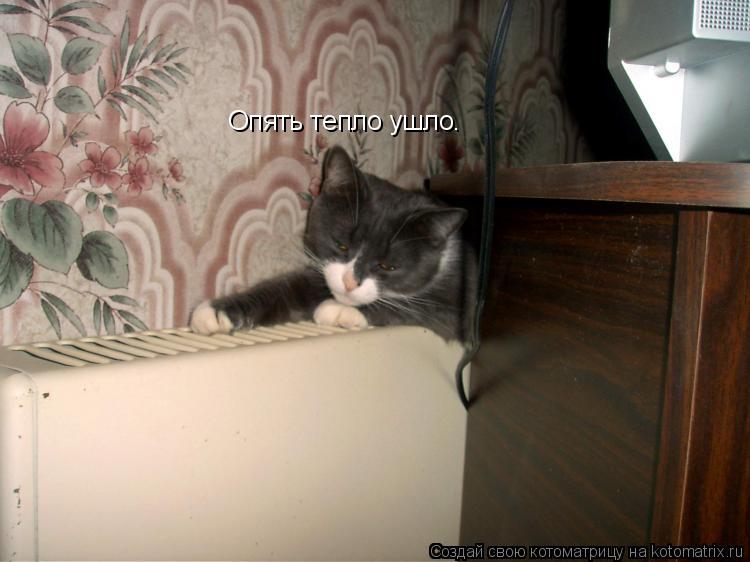 Опять тепло ушло.... Котоматрица: Опять тепло ушло.