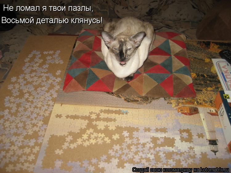 Не ломал я твои пазлы, Восьмой деталью клянусь!... Котоматрица: Не ломал я твои пазлы, Восьмой деталью клянусь!