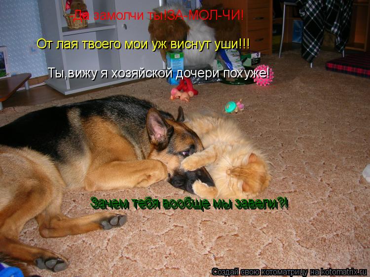 -Да замолчи ты!ЗА-МОЛ-ЧИ! Ты,вижу я хозяйской дочери похуже! Зачем тебя вообще мы завели?! Зачем тебя... Котоматрица: -Да замолчи ты!ЗА-МОЛ-ЧИ! Ты,вижу я хозяйской дочери похуже! Зачем тебя вообще мы завели?! Зачем тебя вообще мы завели?! От лая твоего мои уж ви