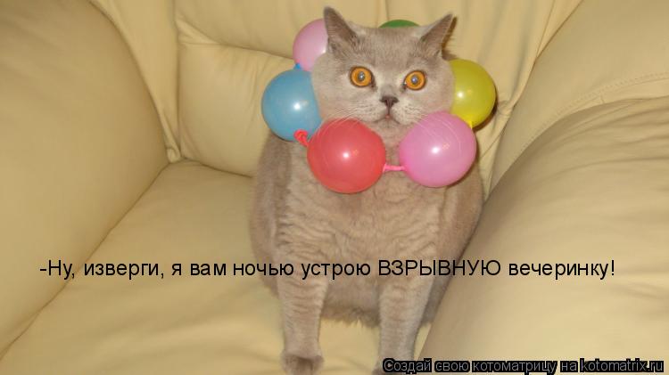-Ну, изверги, я вам ночью устрою ВЗРЫВНУЮ вечеринку!... Котоматрица: -Ну, изверги, я вам ночью устрою ВЗРЫВНУЮ вечеринку!