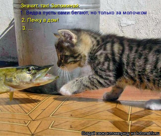 1. Ведра пусть сами бегают, но только за молочком 2. Печку в дом! Значит, так! Запоминай: 3. ...... Котоматрица: 1. Ведра пусть сами бегают, но только за молочком 2. Печку в дом! Значит, так! Запоминай: 3. ...