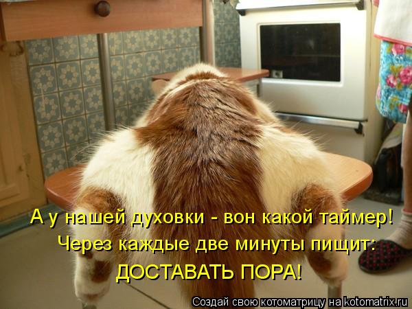 Котоматрица: А у нашей духовки - вон какой таймер! ДОСТАВАТЬ ПОРА! Через каждые две минуты пищит: