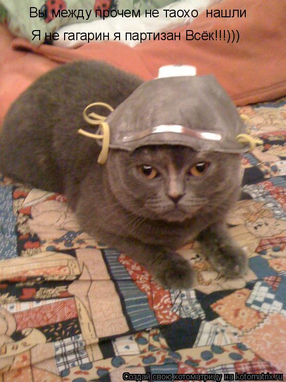 Вы между прочем не таохо нашли Я не гагарин я партизан Всёк!!!)))... Котоматрица: Вы между прочем не таохо нашли Я не гагарин я партизан Всёк!!!)))
