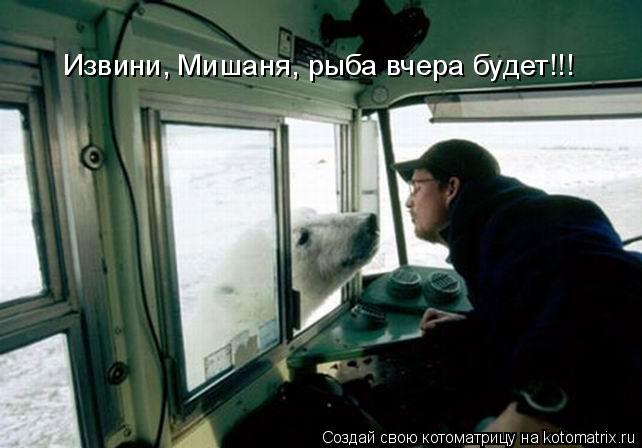 Извини, Мишаня, рыба вчера будет!!!... Котоматрица: Извини, Мишаня, рыба вчера будет!!!