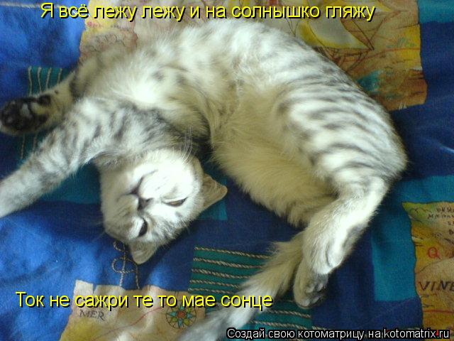 Я всё лежу лежу и на солнышко гляжу Ток не сажри те то мае сонце... Котоматрица: Я всё лежу лежу и на солнышко гляжу Ток не сажри те то мае сонце