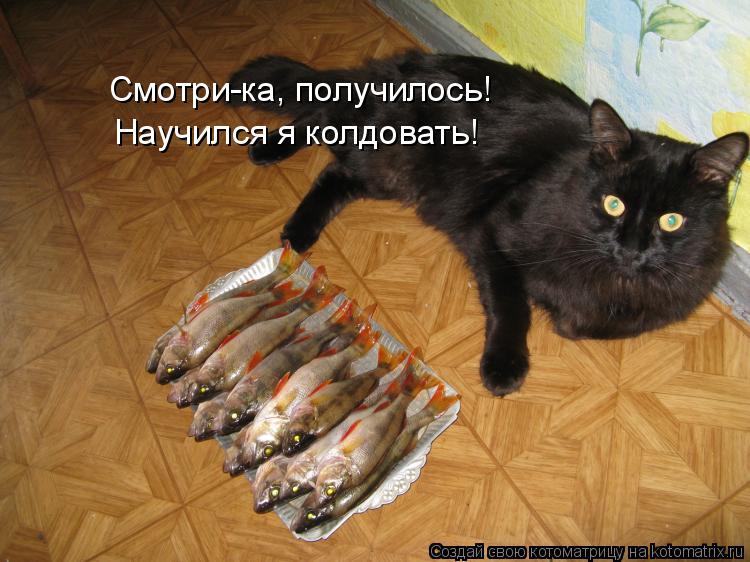 Смотри-ка, получилось! Научился я колдовать!... Котоматрица: Смотри-ка, получилось! Научился я колдовать!