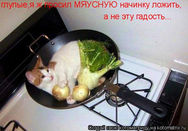 глупые,я ж просил МЯУСНУЮ начинку ложить, а не эту гадость...... Котоматрица: глупые,я ж просил МЯУСНУЮ начинку ложить, а не эту гадость...