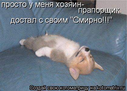 просто у меня хозяин- прапорщик. достал с своим "Смирно!!!"... Котоматрица: просто у меня хозяин- прапорщик. достал с своим "Смирно!!!"