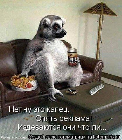 Котоматрица: Нет,ну это капец. Опять реклама! Издеваются они что ли...
