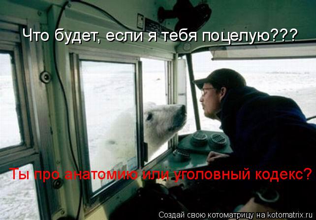 Что будет, если я тебя поцелую??? Ты про анатомию или уголовный кодекс?... Котоматрица: Что будет, если я тебя поцелую??? Ты про анатомию или уголовный кодекс?