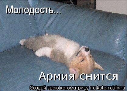Молодость... Армия снится... Котоматрица: Молодость... Армия снится