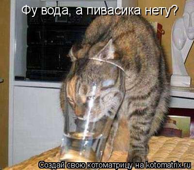 Фу вода, а пивасика нету?... Котоматрица: Фу вода, а пивасика нету?