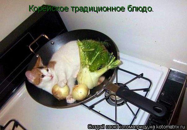 Корейское традиционное блюдо.... Котоматрица: Корейское традиционное блюдо.