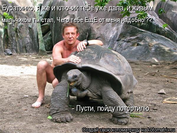 Буратинко, я же и ключик тебе уже дала, и живым мальчиком ты стал, Чего тебе ЕщЕ от меня надобно!?? -... Котоматрица: Буратинко, я же и ключик тебе уже дала, и живым мальчиком ты стал, Чего тебе ЕщЕ от меня надобно!?? - Пусти, пойду потортилю....