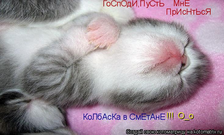 ГоСпОдИ,ПуСтЬ МнЕ ПрИсНтЬсЯ КоЛбАсКа в СмЕтАнЕ !!! О_о... Котоматрица: ГоСпОдИ,ПуСтЬ МнЕ ПрИсНтЬсЯ КоЛбАсКа в СмЕтАнЕ !!! О_о