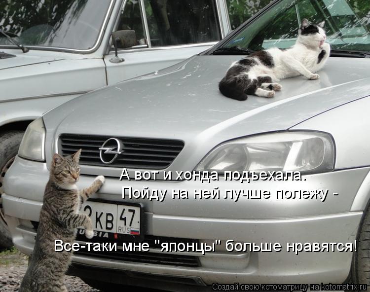А вот и хонда подъехала. Пойду на ней лучше полежу - Все-таки мне "японцы" больше нравятся!... Котоматрица: А вот и хонда подъехала. Пойду на ней лучше полежу - Все-таки мне "японцы" больше нравятся!